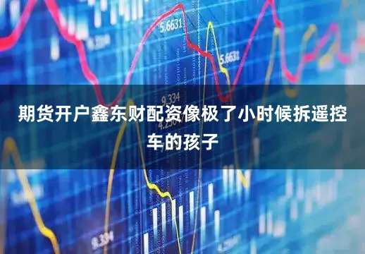 期货开户鑫东财配资像极了小时候拆遥控车的孩子